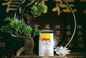 批发香烟价格查询表
